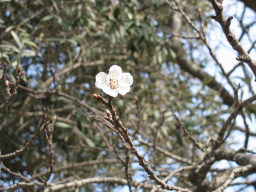 424568 (a): :1600x1200